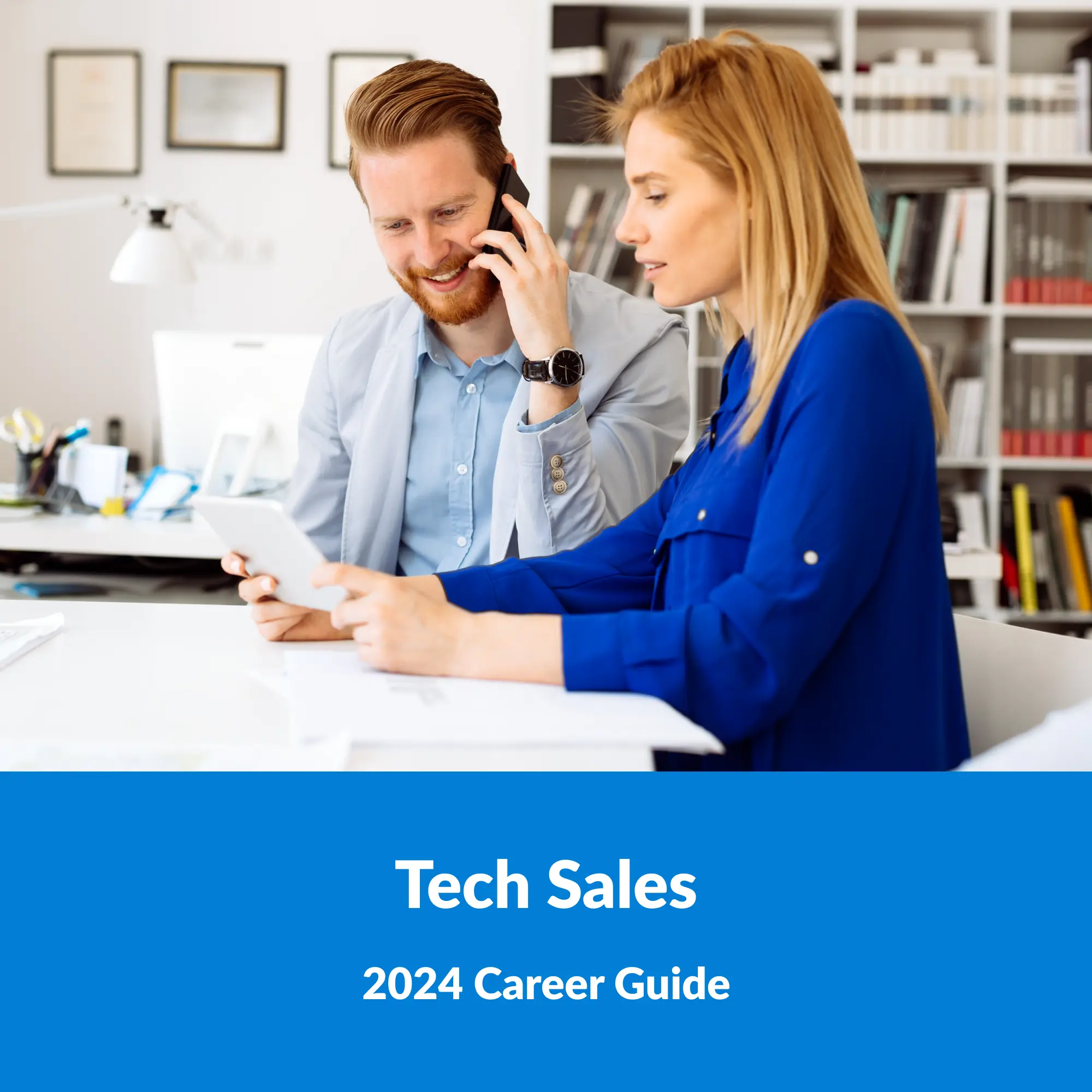 Tech sales, Tech Sales position, career guide